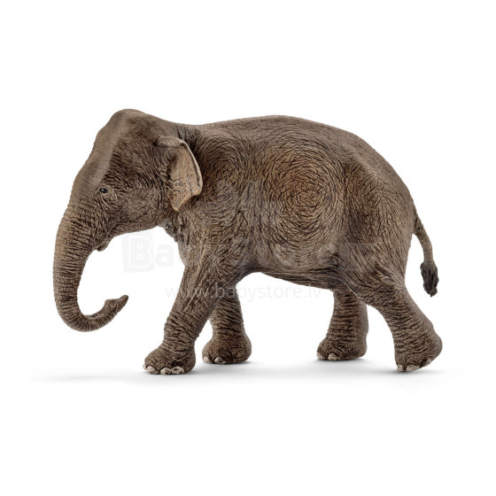 Schleich WILD LIFE Azijos dramblys, moteris