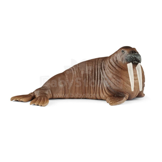 SCHLEICH WILD GYVENIMAS Valsas