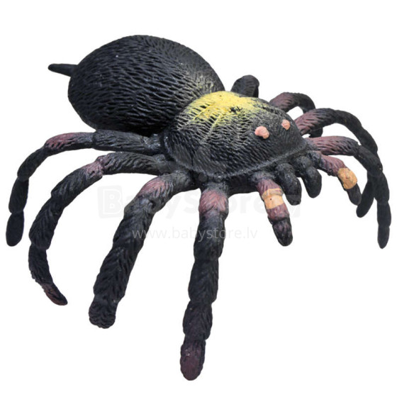 REP PALS Guminis tarantulas