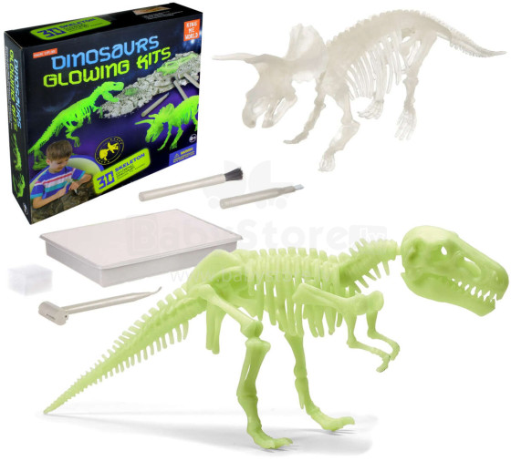 EXCAVATIONS PALEONTOLOGIST DINOSAUR PHOSPHORY