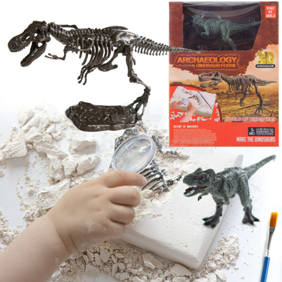 EXCAVATIONS PALEONTOLOGIST DINOSAUR