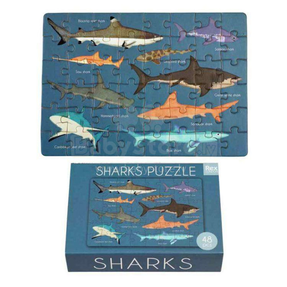 Sharks Matchbox Puzzle, Rex London