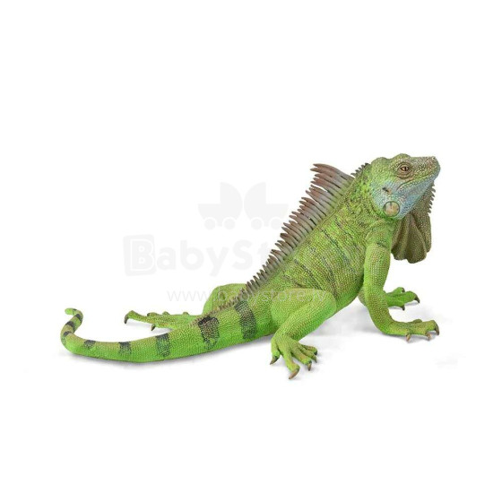 COLLECTA Iguana (XL), 88965