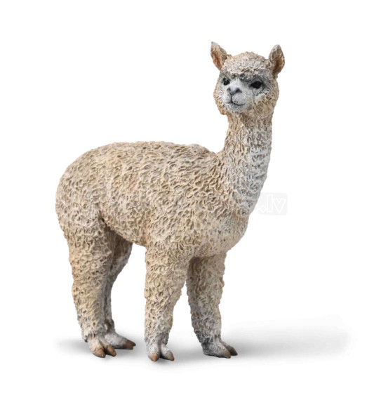 COLLECTA Alpaca (M), 88960