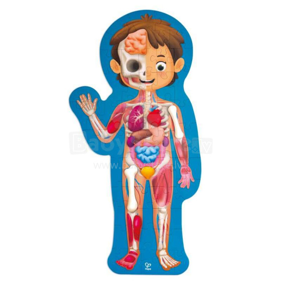 HAPE human body puzzle, E1635