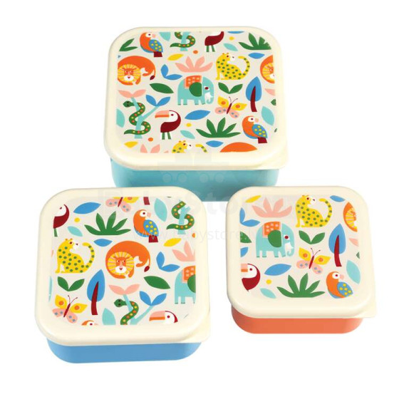 Wild Wonders Snack Boxes, Rex London