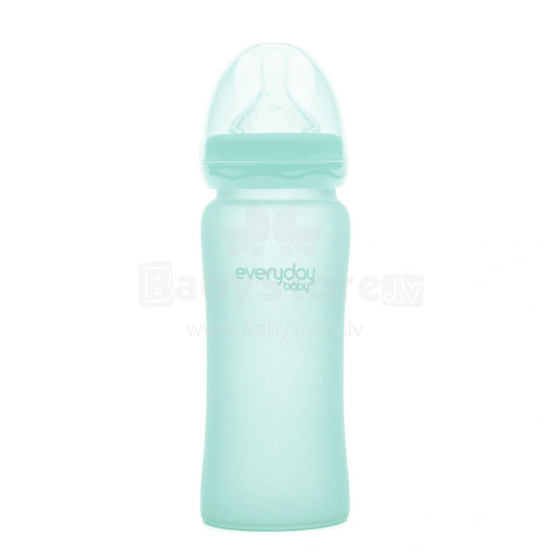 EVERYDAY BABY stikla pudelīte 300ml 6m+ Mint Green 10247