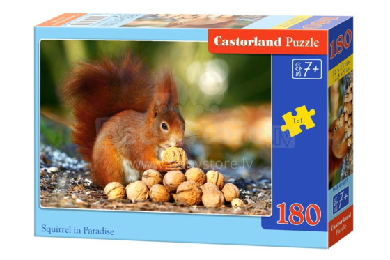 CASTORLAND puzzle Squirrel in Paradise, 180 el.  B-018277