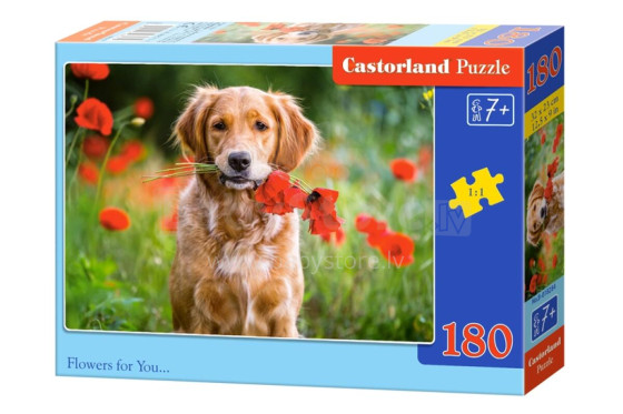 CASTORLAND puzzle Flowers for You, 180 el.  B-018284