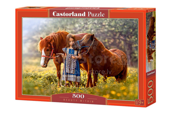 CASTORLAND puzzle Beauty Within, 500 el.  B-52509