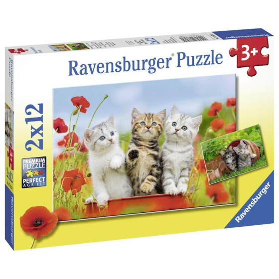 RAVENSBURGER puzzle Kitten adventures, 2x12psc., 7626