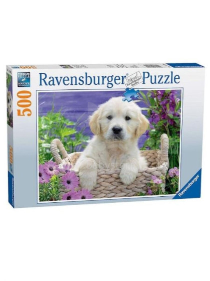 RAVENSBURGER dėlionė Auksaspalvis retriveris, 500d., 14829