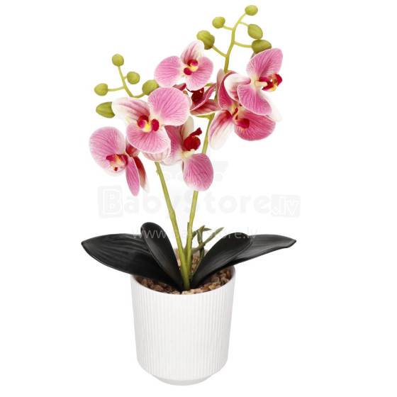 Artificial orchid Springos HA7424