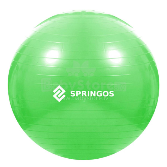 Exercise ball with pump Springos FB0007 65cm