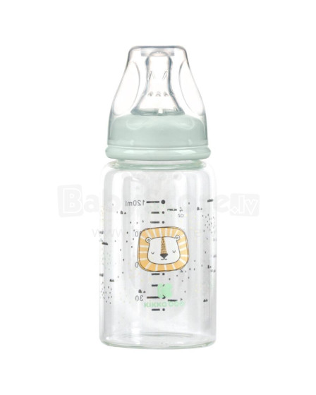 Glass feeding bottle 120ml Savanna Mint
