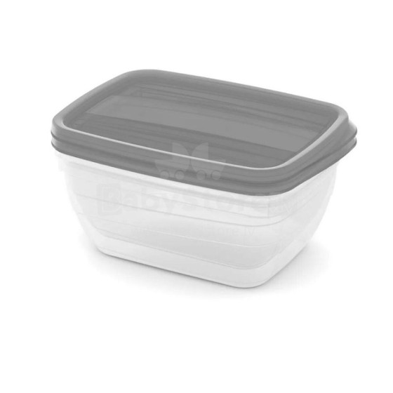 Food bowl set rectangular 2x1,3L Vedo transparent grey