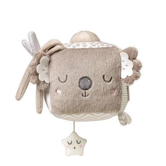 1637 KOALA COCO SENSORY CUBE