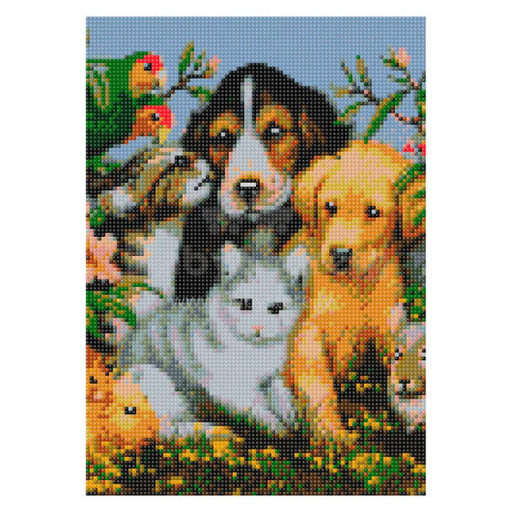 Daimond Mosaic - 47111- ANIMALS - dydis 30x40 cm