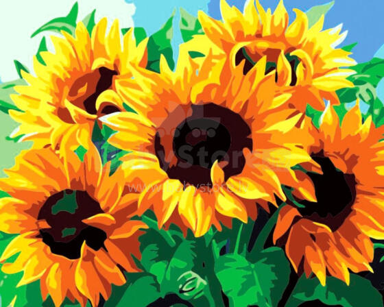 Paveikslas pagal numerius - 45896 - SAULĖGRĄŽOS - dydis 40x50 cm