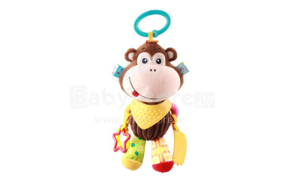 DD 85324 ZAWIESZKA MAŁPKA MOLLY