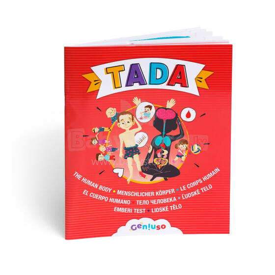 TADA Žmogaus Kūnas