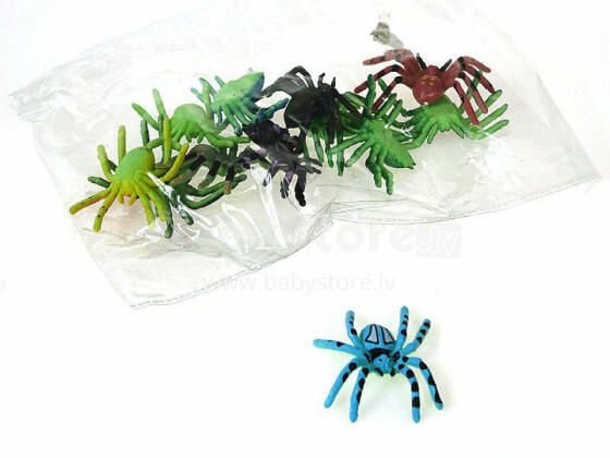 ZWIERZĘTA PAJĄKI ADAR