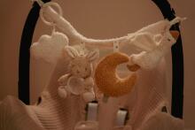 Little Dutch vežimėlio žaislų grandinėlė Newborn Naturals Art.8411