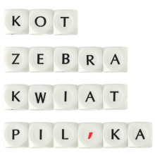 Ikonka Art.KX4163 ALEXANDER Master of Words educational game 8+