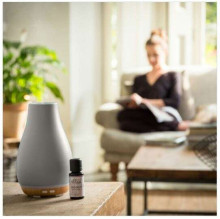 Ellia ARM-510GYA-WW Blossom Ultrasonic Diffuser with Ambient Mood Lighting