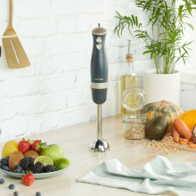 Petra PT5612BGRYVDE Hand blender blue grey/soft gold