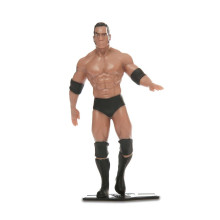 TCG Action figure Bend-Ems WWE Legends