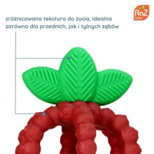 Silicone teether, Juicy Raspberry with leaves, pink, RaZbaby