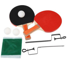 Wild Bear Table Tennis Set, Rex London