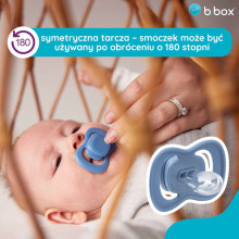 b.box pacifier for newborns and infants twin pack – symmetrical silicone pacifier 0 – 6 months, Ocean/Sky