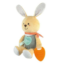 162734 BUNNY WITH A TEETHER