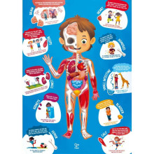 HAPE human body puzzle, E1635