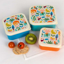 Wild Wonders Snack Boxes, Rex London