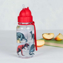 Prehistoric Land Kids Water Bottle, Rex London