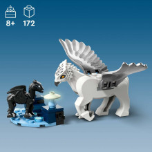 76432 LEGO® Harry Potter™ Aizliegtais mežs: Maģiskās būtnes