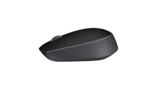 Logitech M171 Black (910-004424)