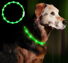 Anicoll LED Collar for Dogs and Cats Green