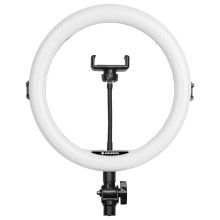 AGFA ARL11 Ring Light + Tripod