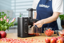 Zelmer ZJP3900 EasyJuice