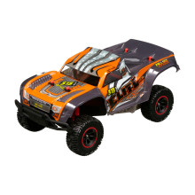 NIKKO R/C Automašīna Elite, mērogs 1:14