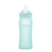 EVERYDAY BABY stikla pudelīte 300ml 6m+ Mint Green 10247