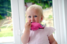 CHEEKY CHOMPERS  neckerchew (Joules range) 026