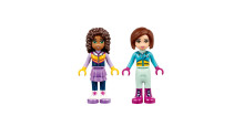 41323 LEGO Friends Snow Resort Chalet