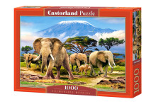 CASTORLAND puzzle Kilimanjaro Morning, 1000 el.  C-103188-2