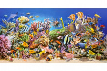 CASTORLAND puzzle Underwater Life, 4000 el.  C-400089-2