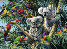 RAVENSBURGER dėlionė Koalos medyje, 500d., 14826